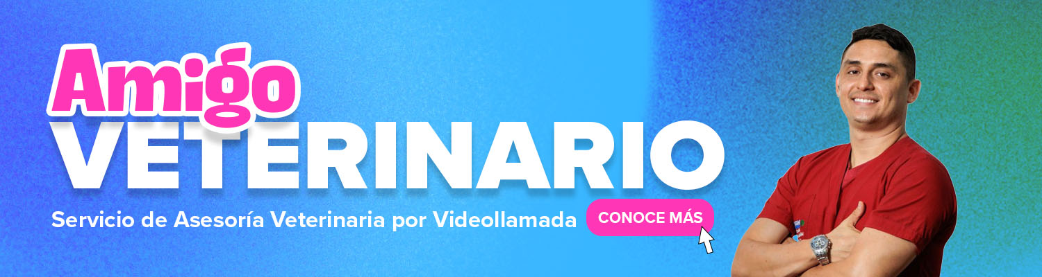 Amigo Veterinario