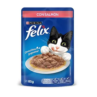 FELIX POUCH SALMON 