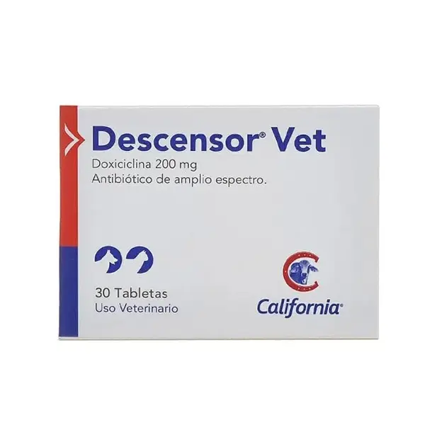 DESCENSOR X200