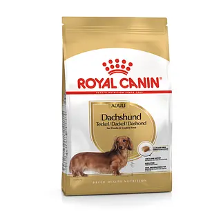 ROYAL CANIN DACHSHUND ADULTO 1.5KG
