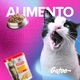 Alimento para gatos