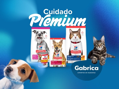Gabrica