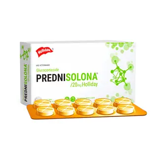 Prednisolona 20 Mg X Tab