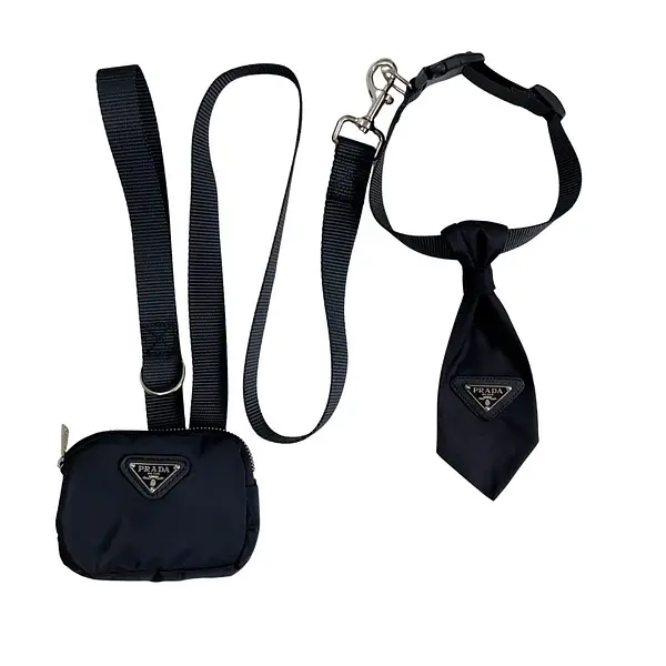 Pañoleta De Lujo Prada