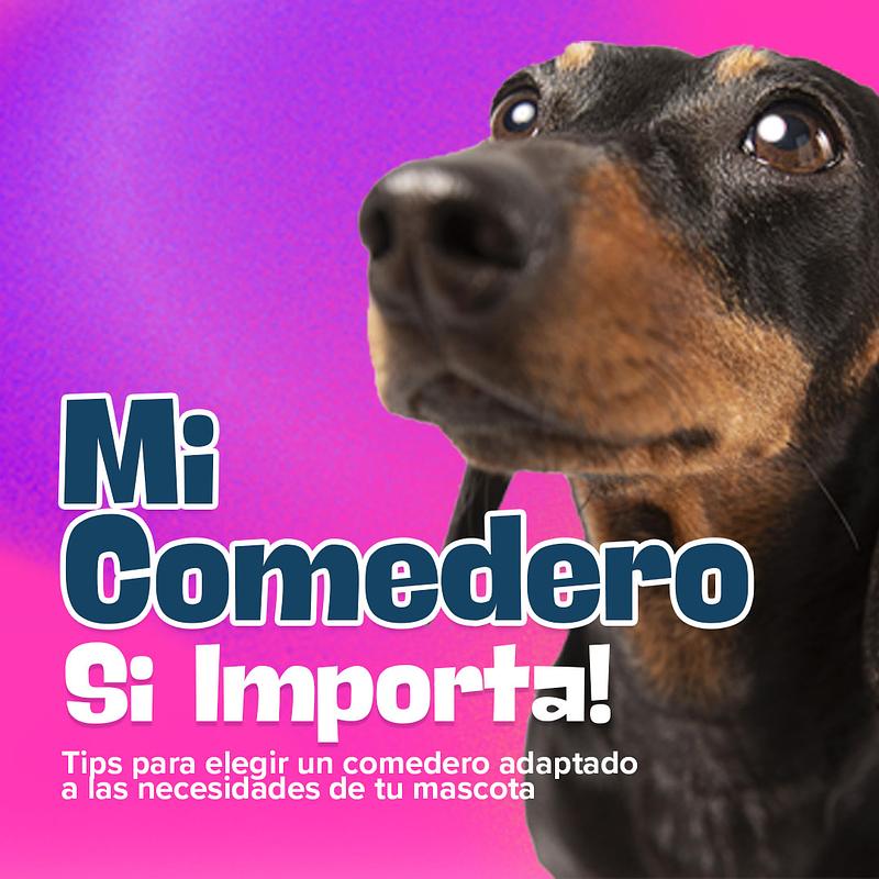 El Comedero si importa!