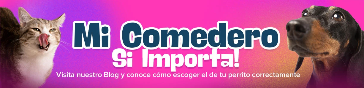 El comedero sí importa!