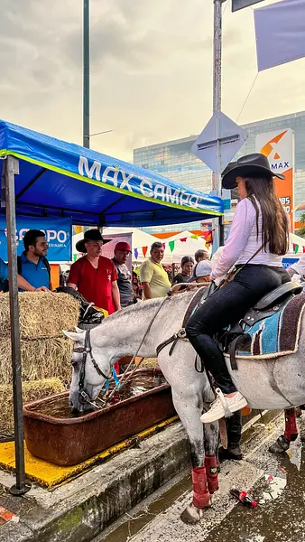 Galería Instagram