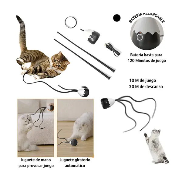 Juguete Interactivo De Cuerda