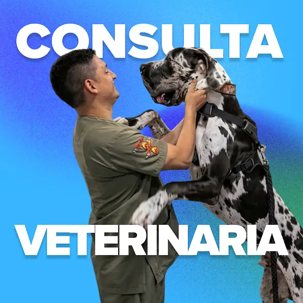 Consulta Veterinaria