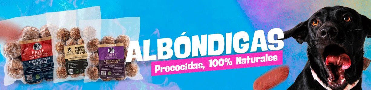 Albóndigas para perro