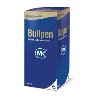 Bullpen