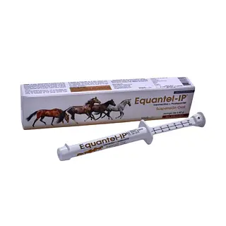 EQUANTEL jeringa X 6.42 GR