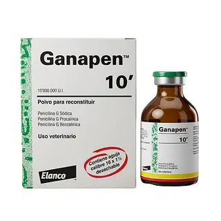 Ganapen 10
