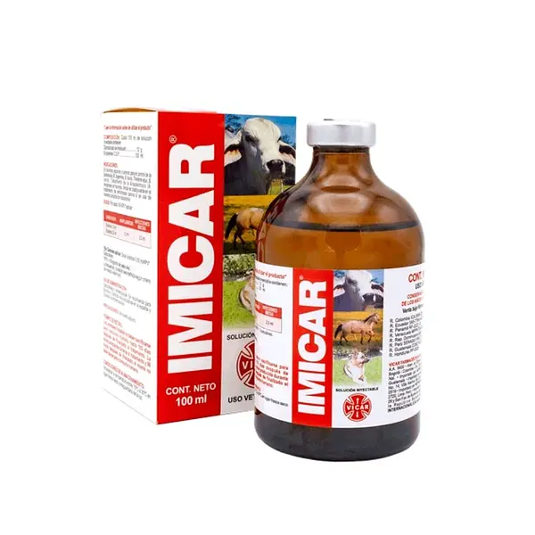 Imicar