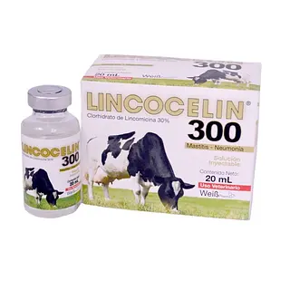 LINCOCELIN