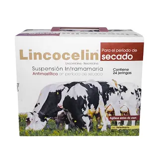 LINCOCELIN SECADO JERINGA
