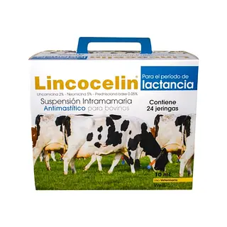 LINCOCELIN LACTANCIA JERINGA