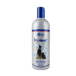 Brillobest shampoo romero 